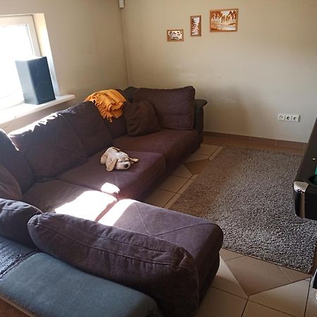 Vilnius Cat Friendly Apartment Exterior photo