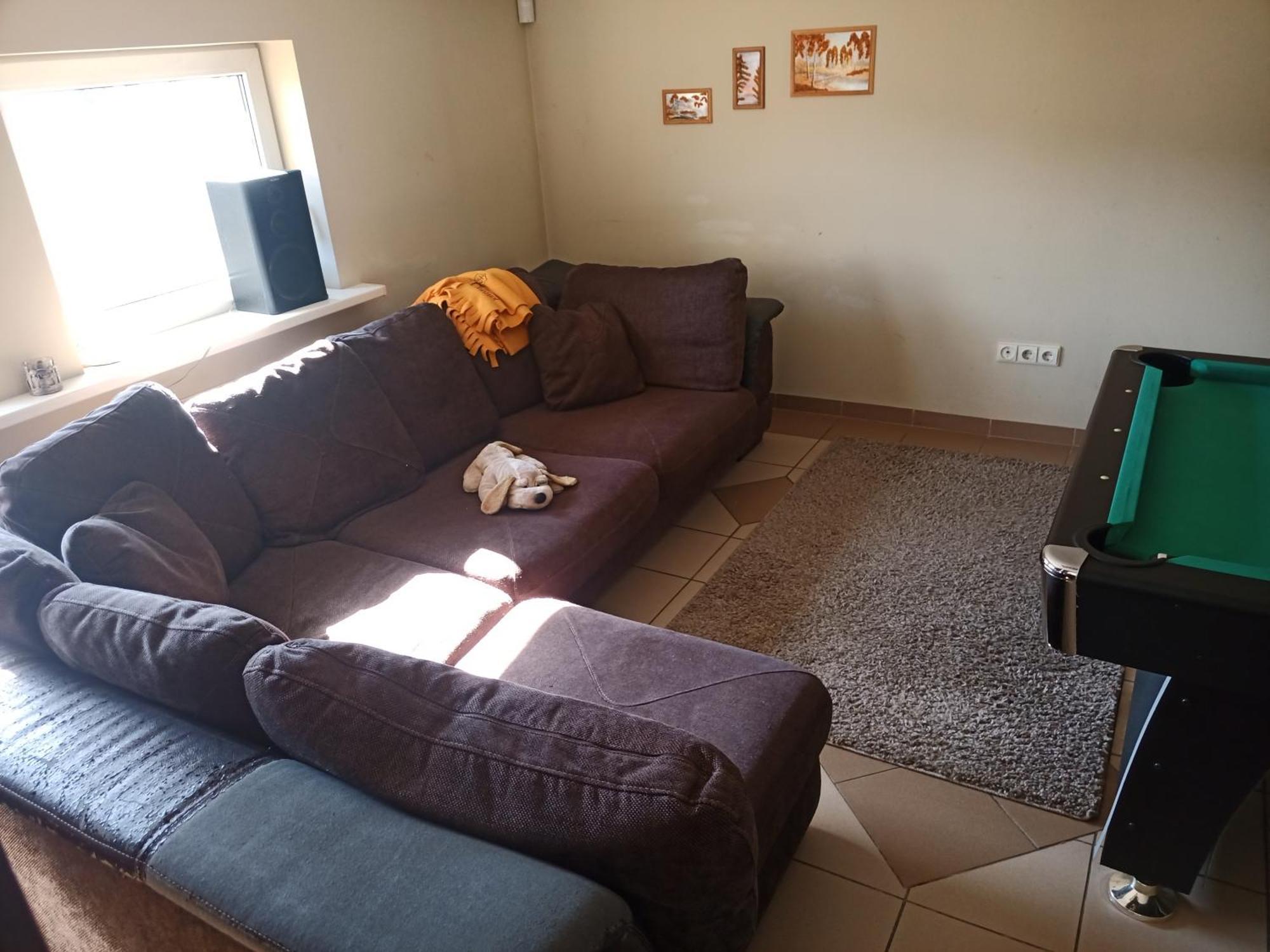 Vilnius Cat Friendly Apartment Exterior photo